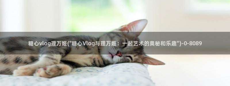 糖心vlog传媒作品