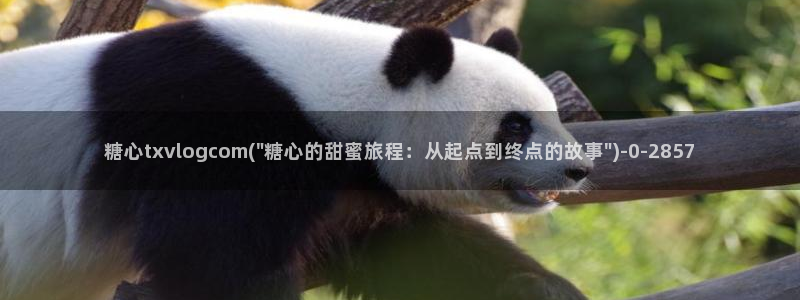  糖vlog免费：糖心txvlogcom(\