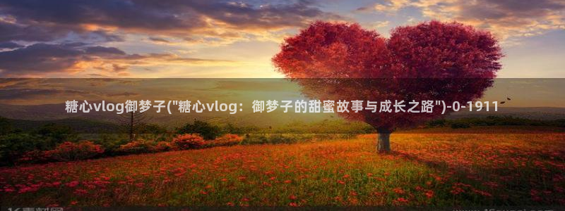  糖心vlog最新地址：糖心vlog御梦子(\
