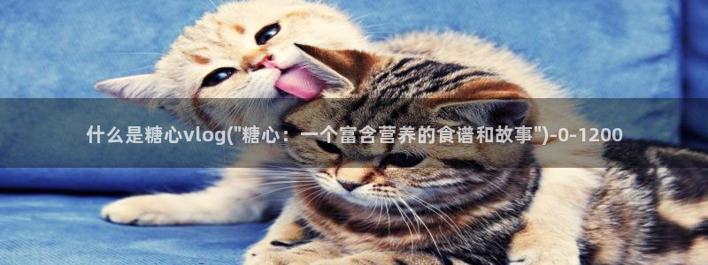  糖心vlog演员表：什么是糖心vlog(\