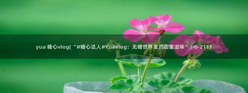 糖心在线vlog：yua 糖心vlog(“#糖心达人#Yuavlog：无糖世界里的甜蜜滋味”)