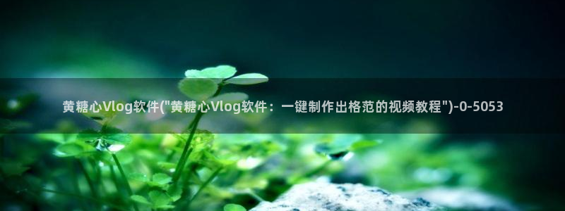 糖心vlog可以约吗：黄糖心Vlog软件(\