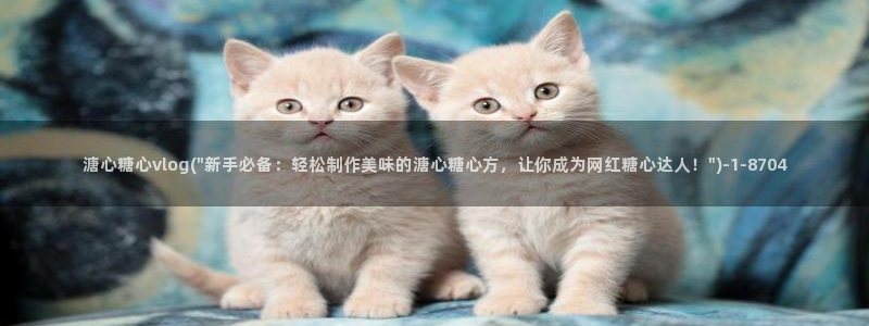 老糖心vlog：溏心糖心vlog(\