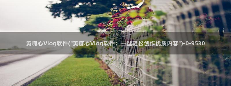 磁力搜索糖心vlog：黄糖心Vlog软件(\