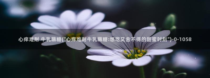 糖心vlog女主