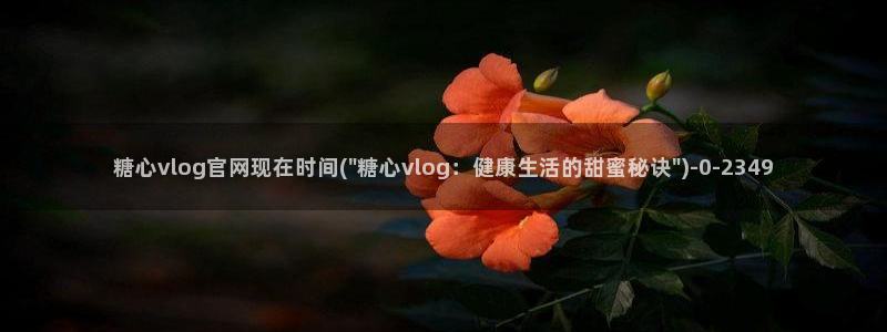 糖心vlog+