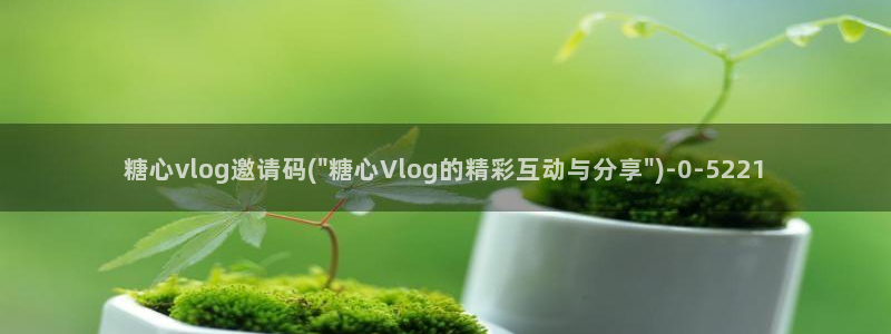 糖心淑怡vlog