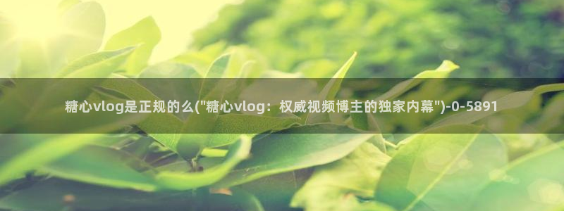 糖心vlog下载软件
