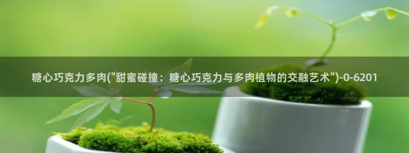 心糖vlog免费版