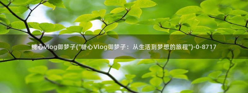 糖心vlog 免费观看完整版